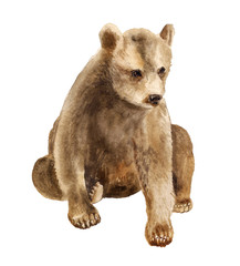 Watercolor sitting bear cub © shoshina