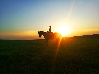 Evening scene with rider on the horse.