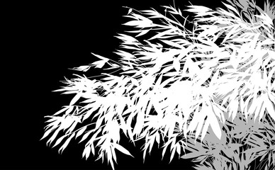 Fototapeta premium grey and white lush bamboo plants