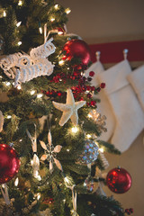 Florida themed Christmas tree with starfish ornament