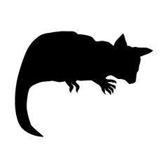 Kuzu silhouette of an Australian animal