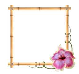 Realistic bamboo frame with hibiscus flower.