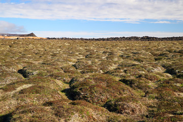 KRAFLA, ICELAND , Krafla Lava Fields