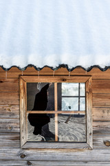 cabin hut snow old broken window garden color