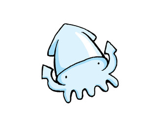 Fototapeta premium イカ