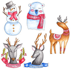 Watercolor Winter Illustrations
