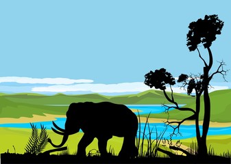 Fototapeta na wymiar Elephant and trees silhouettes, green savannah on background, wildlife vecror scene