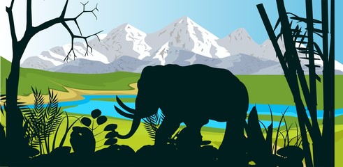 Elephant and trees silhouettes, wildlife vector scene.