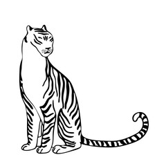 Fototapeta na wymiar Hand drawn sitting stylized tiger. Black vector image on white background. Animal vector isolated for logo or mascot.