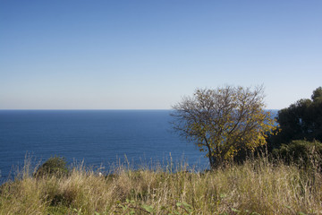 Fototapeta na wymiar partial view of the Ionian coast near Acireale in Sicily