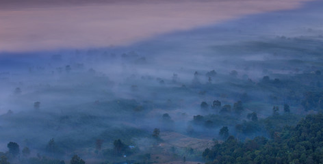 Pha-chom-mok, Landscape sea of mist on the mountain in Nongkhai province  Thailand.