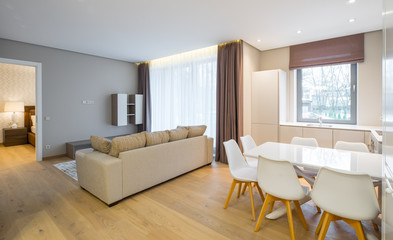 Interior of the living-studio in the apartment. Room, kitchen, furniture, sofa..