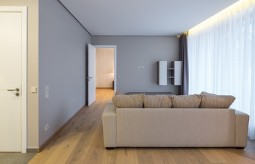 Interior of the living-studio in the apartment. Room, kitchen, furniture, sofa..