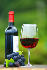 Single Red Wine in Bordeaux-shaped glass with bottle and fresh grapes on wooden table, defocused green outdoors background 1