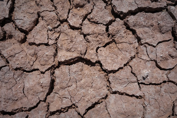 Dry Ground