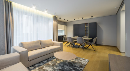 Interior of the living-studio in the apartment. Room, kitchen, furniture, sofa..