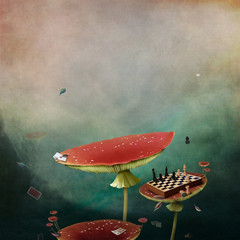 Conceptual fantasy tale background for Wonderland with red poisonous mushrooms Amanita. 