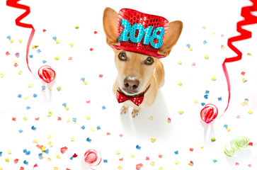 Fototapeta premium happy new year dog