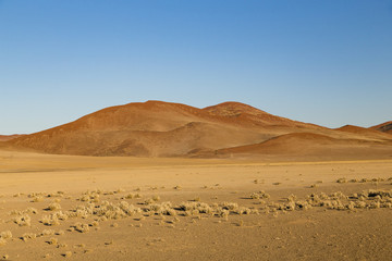 Fototapeta na wymiar Sanddünen in Sossusvlei, Namibia, sand dunes in Sossusvlei, Namibia