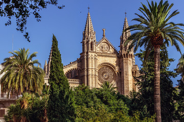 La Seu, Cathedral de Mallorca - Palma de Mallorca - Spain © LaraIris