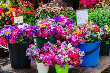 colorful variety of flowers sold in market