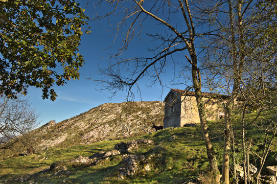 majada pastoril en Asturias 