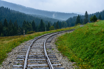 Fototapeta premium wavy railroad tracks in wet summer day in forest