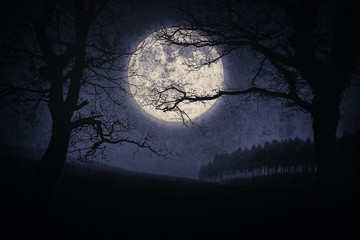Obraz premium straszny krajobraz halloween w nocy z drzewami i księżycem w pełni