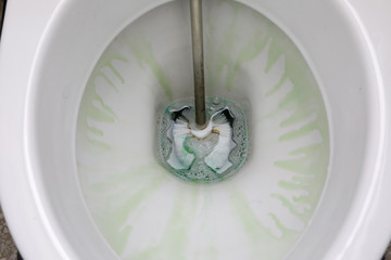 The bottom of a toilet bowl