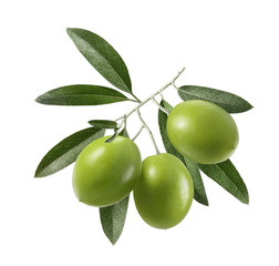 Green olives with leaves square composition isolated on white background