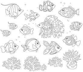 Black and white vector set of fishes in cartoon style