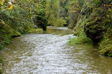 mountain river in summer. slovensky raj. sucha bela trail