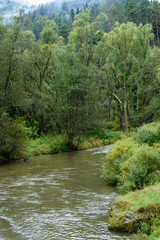 mountain river in summer. slovensky raj. sucha bela trail