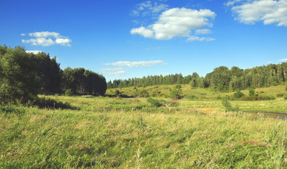 Sunny summer landscape with birch grove and field of ripe wheat.River flowing between the meadows and the green hills.Beautiful scene and view.Tula region,Russia.