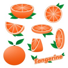 Set of fresh citrus sliced and whole tangerine fruit with skin with green leaves on a white background. The concept of healthy eating. 
