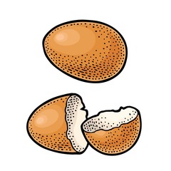 Broken brown egg shell. Vintage color engraving illustration