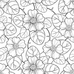 Vector seamless pattern with outline Primula or Primrose flower and leaf in black on the white background. Elegance floral pattern with Primula in contour style for spring design and coloring book.