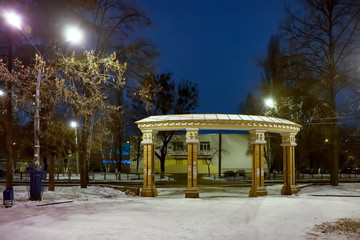 Winter landscape. Night city. Snow in the park.
