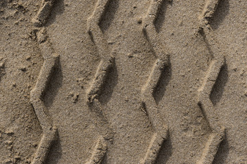 tire track in the sand on the beach