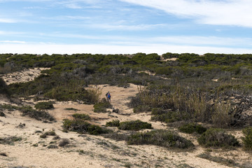 strolling through an area of beach sand dunes