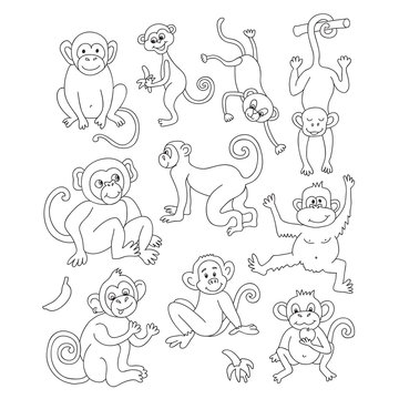 Vector funny monkeys. Vector illustration for your cute design.
