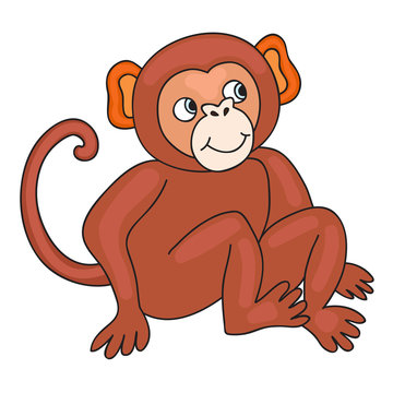 Funny monkey. Cartoon and vector isolated character