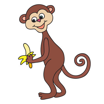 Funny monkey. Cartoon and vector isolated character