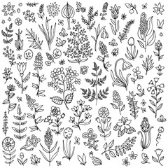 Plants and flowers set. Template for style design.