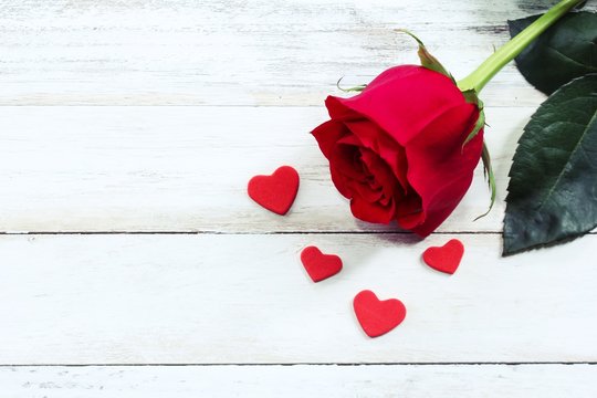 Valentine's day background with red roses on white wooden frame, selective focus
