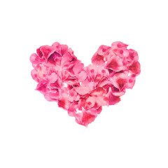 Heart made of rose petals. Red rose petals heart over white background. Top view. Love and romantic theme.