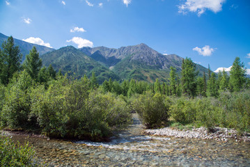 Obraz premium Mountain view with small river in front, sunny summer day. East Sayan, Buryatia, Russia.