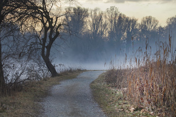 camminando in contro alla nebbia - 185932960