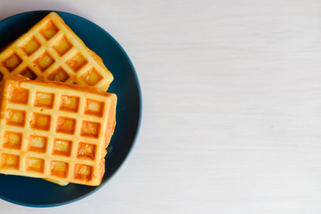 Top side view of delicious homemade waffles with a Christmas theme. Classic culinary styling close up overhead photography