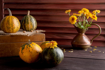 Pumpkins,copper jug with yellow chrysanthemums